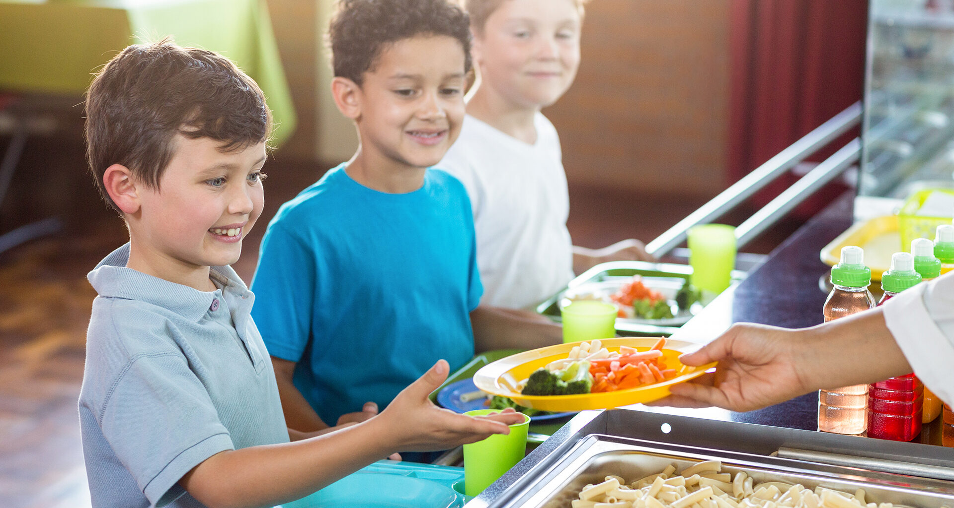 Option végétarienne quotidienne dans les cantines scolaires, une  opportunité en sursis - Observatoire national des alimentations végétales