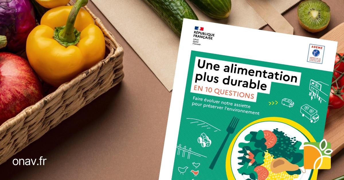 Une Alimentation Plus Végétale Recommandée Par Le Guide “Une ...